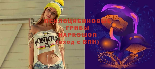 молекула духа Зеленокумск