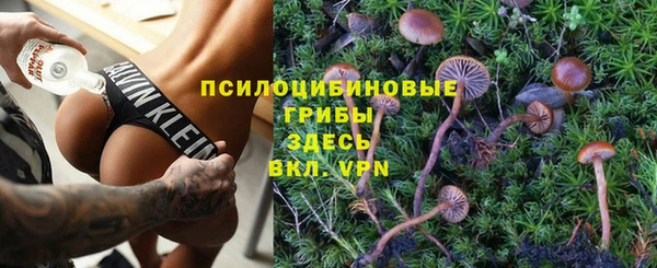 марки nbome Заводоуковск