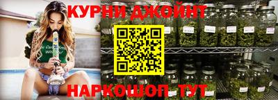 МДПВ Кингисепп