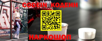 МДПВ Кингисепп