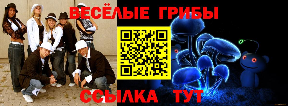 Псилоцибиновые грибы прущие грибы  Вход с VPN  Элиста 