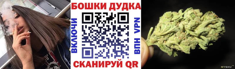 Канабис OG Kush Элиста